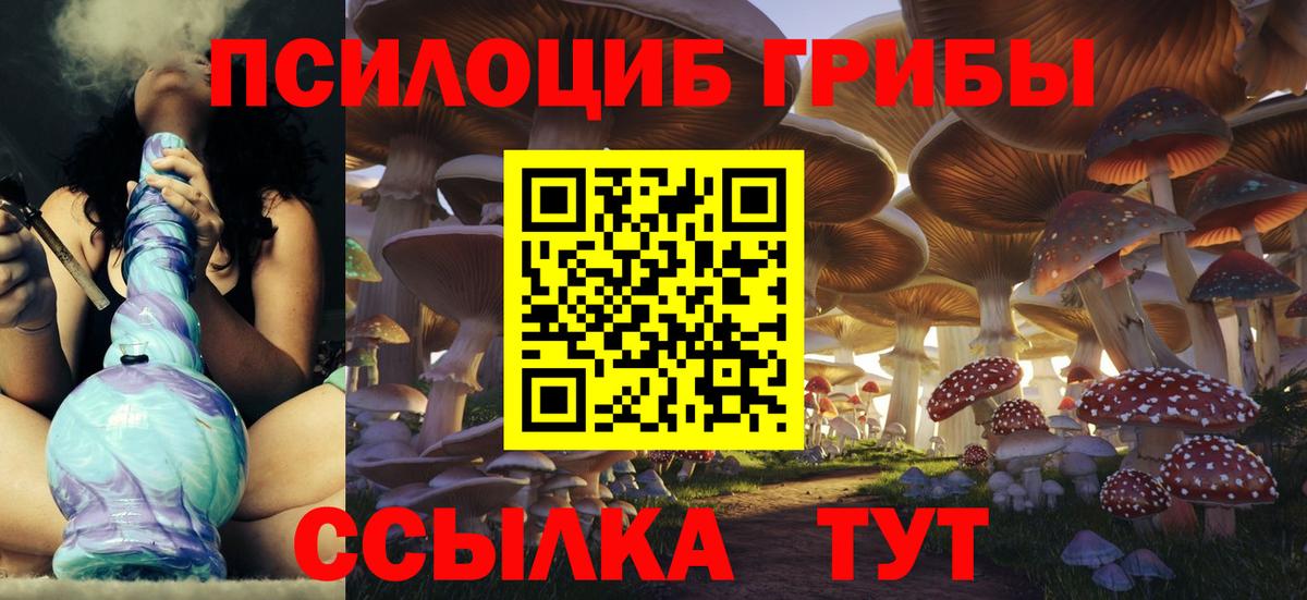 Псилоцибиновые грибы прущие грибы Камень-на-Оби