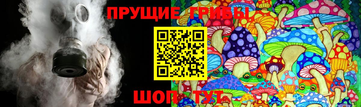 Камень-на-Оби  Галлюциногенные грибы мухоморы  Вход с VPN 